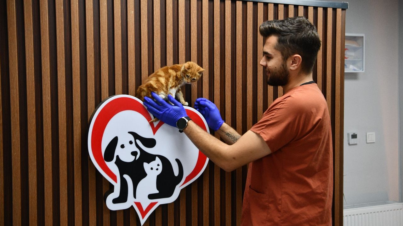 Balıkesir'de 1158 Can Dost Yeni Yuva Buldu