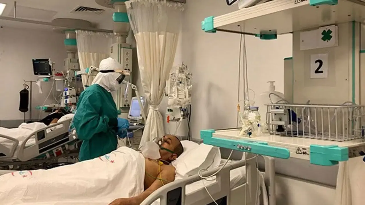 Türkiye’de Deli Dana Alarmı! 2 Kişide Görüldü! Belirtileri Neler? Nasıl Bulaşır?