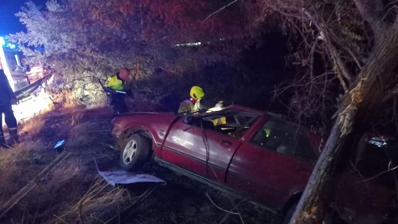 Bandırma'da bariyerlere çarparak ağaçlık alana giren otomobildeki 2 kişi yaralandı
