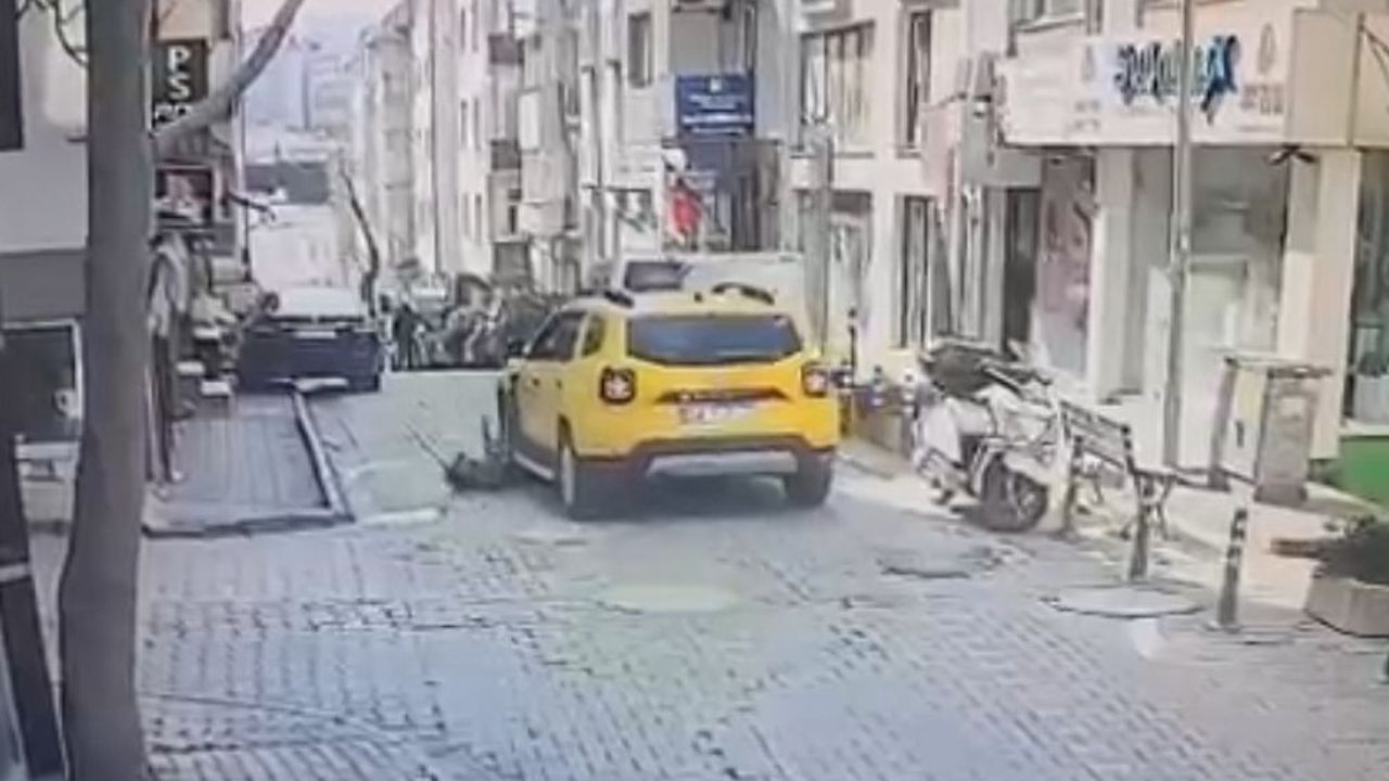 Bandırma'da bir taksici, köpeği göz göre göre ezdi!
