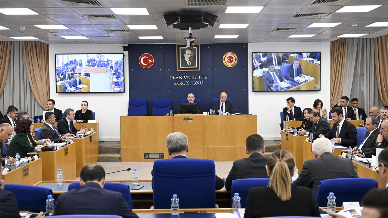 Dışişleri Teşkilatını Güçlendirme Vakfı Kanunu Teklifi, Plan ve Bütçe Komisyonunda