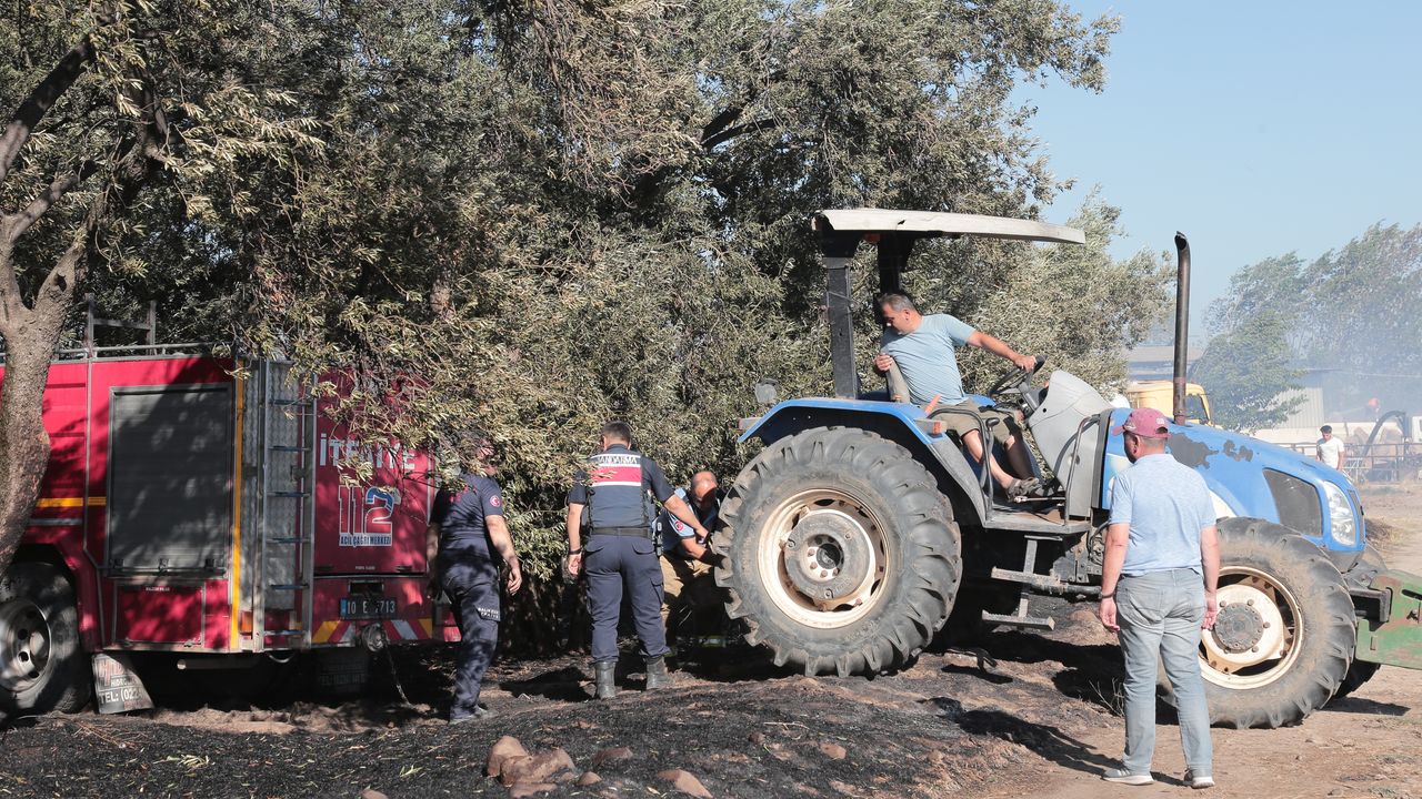Ayvalık'ta yine yangın! Çöplükte başladı zeytinlikleri sardı