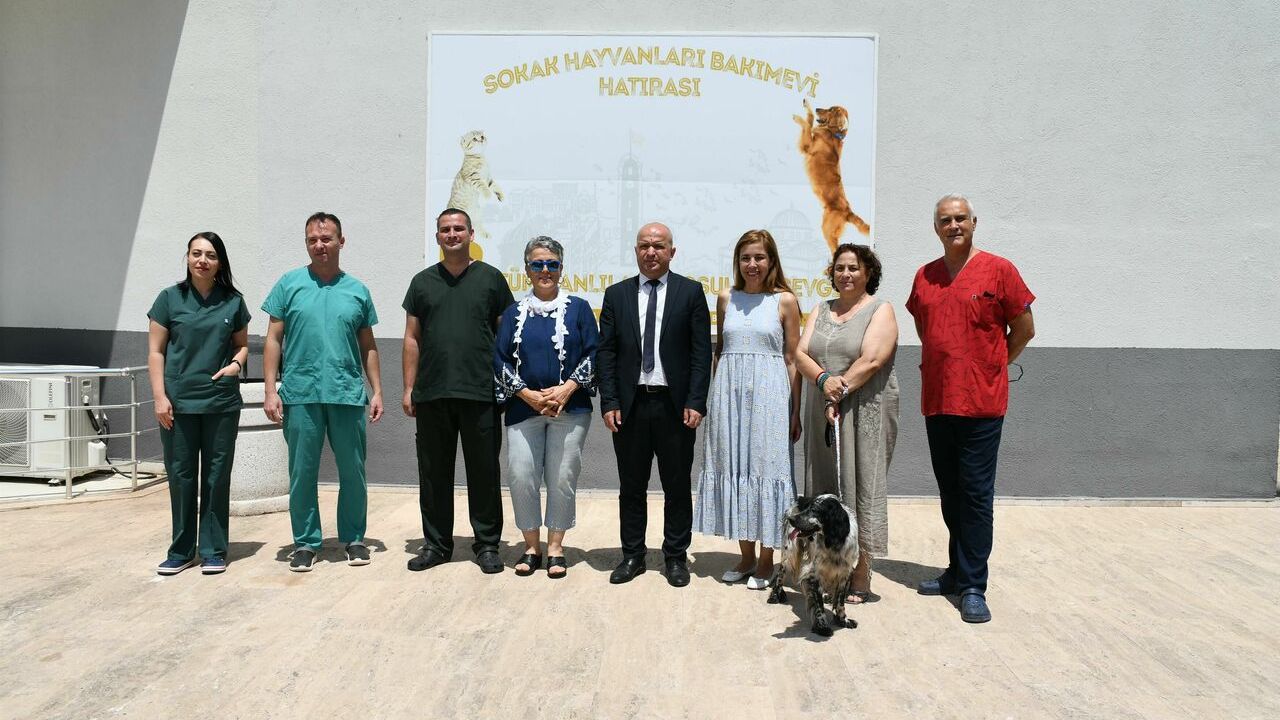 Şiddet görmüştü! Önce tedavi edildi sonra sahiplendirildi