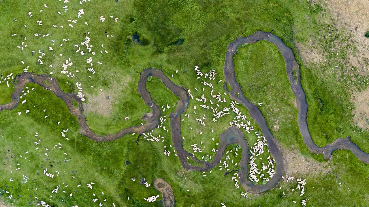 3 bin metre yüksekteki yaylalarda hayvancılık