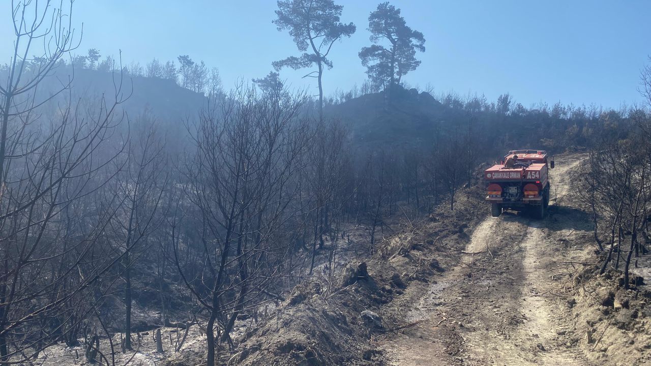 Ayvacık'taki yangında 17 hektarlık orman alanı zarar gördü