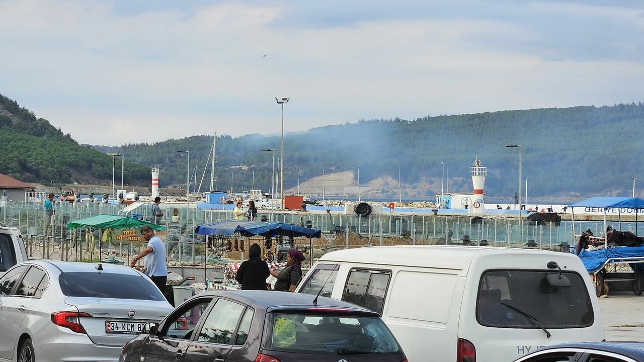 Çanakkale Ezine'deki yangında 2 hektarlık alan zarar gördü