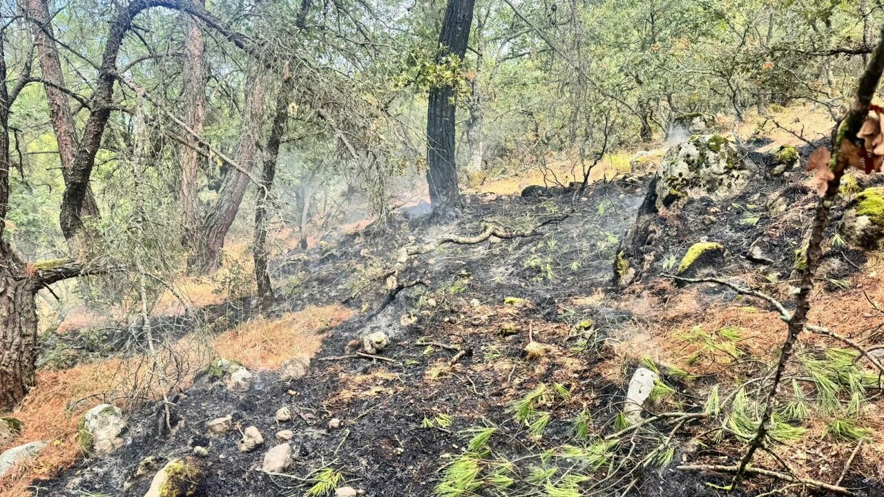Havran'da ormanlık alana yıldırım düştü!