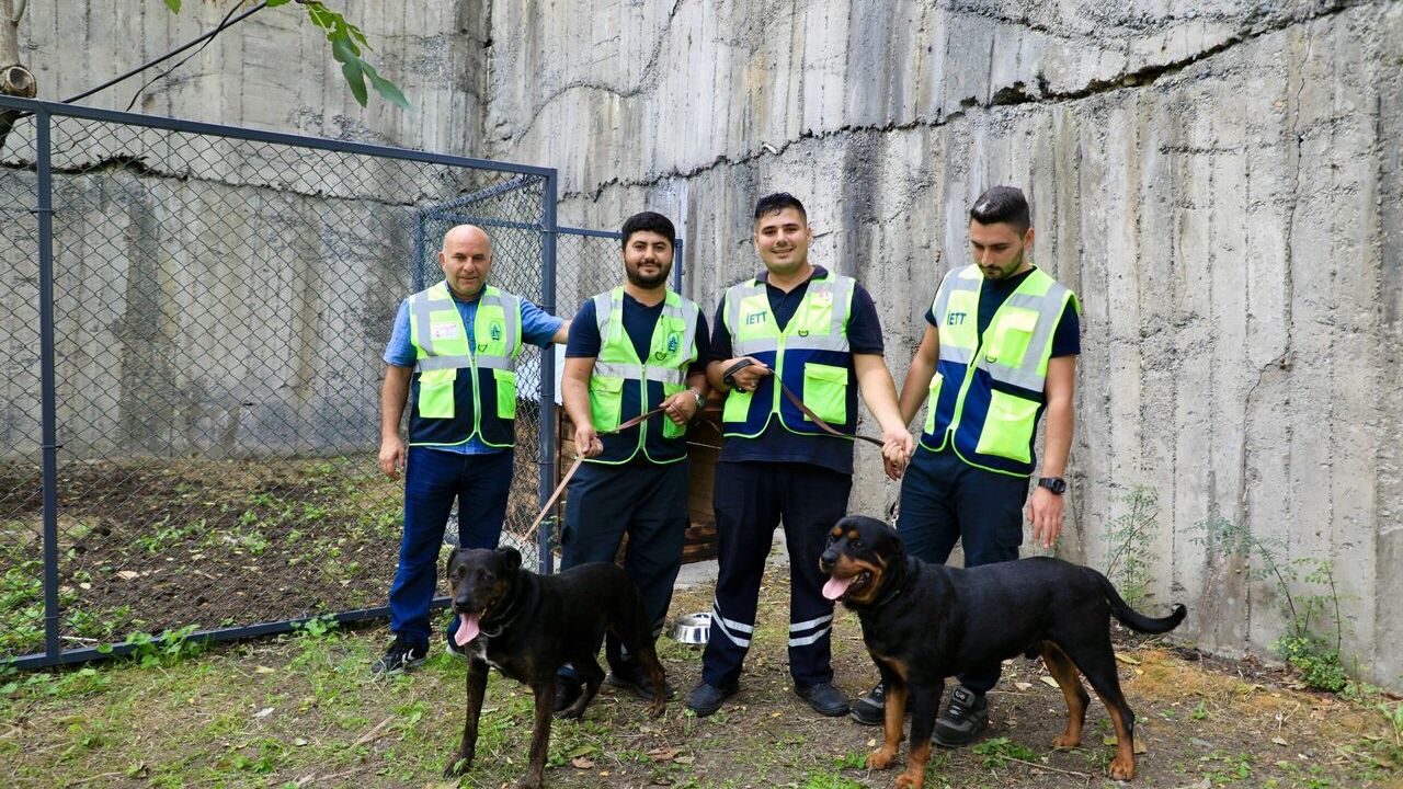 Patili dostlara tüm kapılar açık olacak
