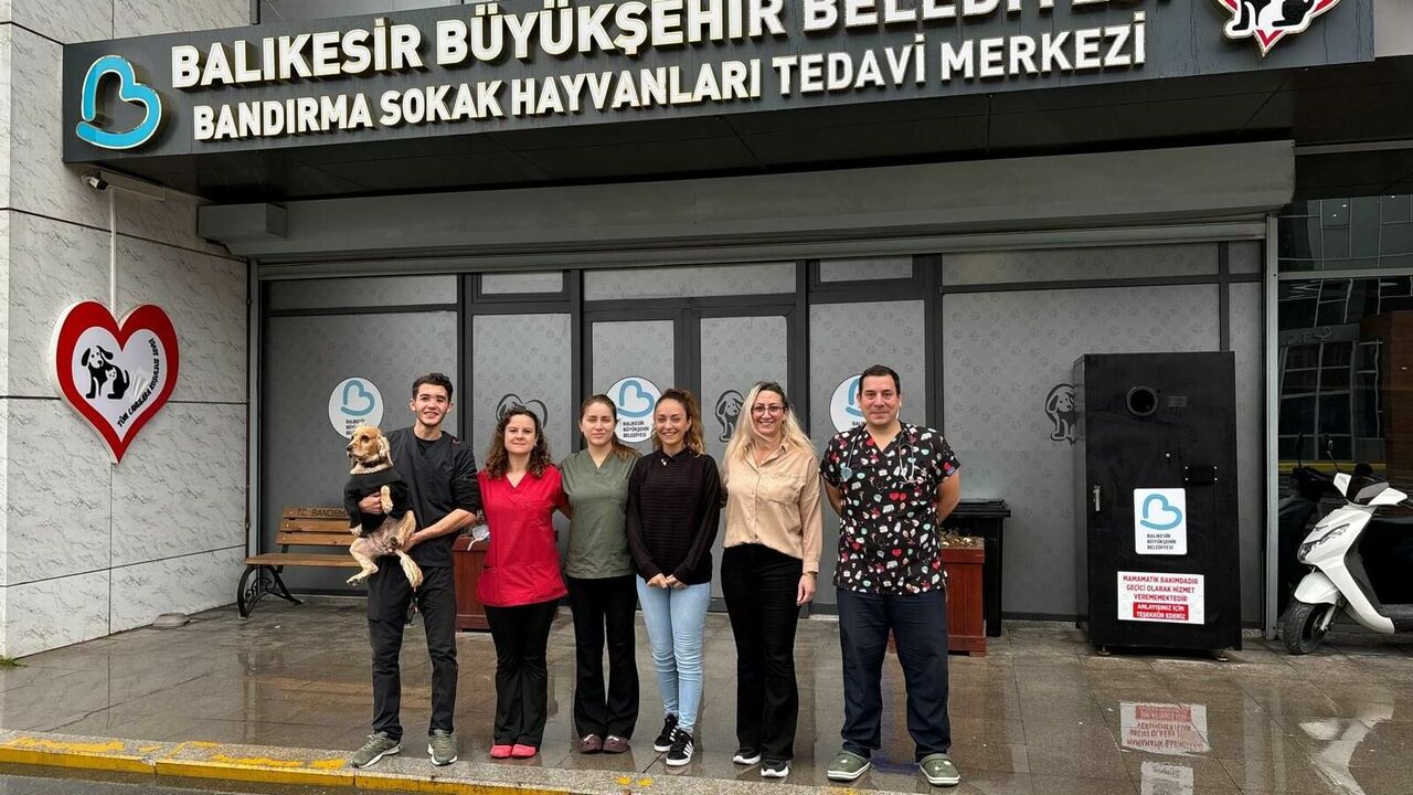 Balıkesir Büyükşehir Belediyesi sokak hayvanlarının yanında!