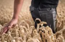Dünya Çiftçiler Günü: Küresel Kalkınmanın Temeli Tarım ve Çiftçiler!