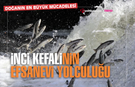 Sodalı Denizden Tatlı Sulara: İnci Kefalinin Efsanevi Yolculuğu