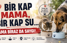 Bir kap mama, bir kap su, ama biraz da saygı!
