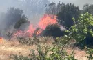 Bir yangın daha! Altıeylül Büyükbostancı'yı alevler sardı