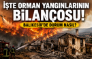 İşte orman yangınlarının bilançosu! Balıkesir'de durum nasıl?