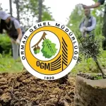 Balıkesir ve Ege İçin Kırmızı Alarm Verildi! Önümüzdeki 3 Güne Çok Dikkat: "Kritik 30+30+30 Tehlikesi"
