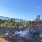 Cunda Adası'nda Korkutan Orman Yangını: Ekipler Zamanla Yarıştı, Alevler Söndürüldü!