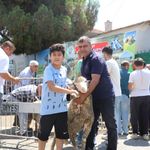 Kepsut Belediyesi’nden Üreticiye Dev Destek: 40 Yetiştiriciye Ücretsiz Damızlık Koç Dağıtıldı!