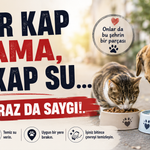Bir kap mama, bir kap su, ama biraz da saygı!