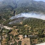 Bursa Kestel ve Yıldırım’da Orman Yangını: Havadan ve Karadan Müdahale Ediliyor!