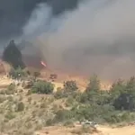 Balıkesir Valisi İsmail Ustaoğlu Son Dakika Duyurdu! Dursunbey'deki Orman Yangın Kontrol Altın Alındı!