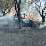 Burhaniye'de Zeytinlikte Feci Yangın! Park Halindeki Araç Alev Alev Yandı!