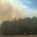 Bolu Gerede'de Alevler Ormana Sıçradı! Karapazar Köyü Bölgesinde Hava Söndürme Filosu Seferber Edildi!