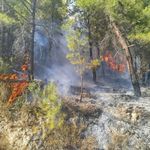 Son Dakika! Antalya Manavgat’ta Orman Yangını! 6 Helikopter ve 2 Uçakla Havadan Müdahale Başlatıldı!