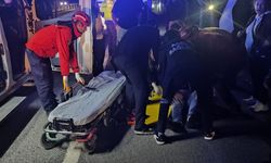 Havran'da kaza! Araçtaki 4 kişi yaralandı
