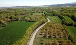 2B Arazi Nedir? Nasıl Alınır, Üzerine Ev Yapılabilir mi?