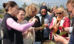 BAÇEM'de Eğitime Devam: 85 Kursiyer Sertifika Aldı