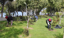 Burhaniye Yaz Sezonuna Hazır! Plajlardan Parklara Kapsamlı Temizlik ve Bakım Çalışmaları