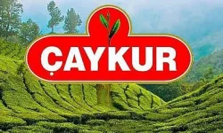 Binlerce Aday Bekliyor! ÇAYKUR Kurası Ne Zaman, Sonuçlar Nereden Öğrenilecek?