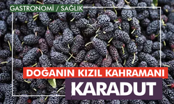 Doğanın Kızıl Kahramanı: Karadut!