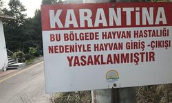 Kurban Bayramı Öncesi Şok! Balıkesir Gönen'de Şap Hastalığı Alarmı: 15 Mahalle Karantinaya Alındı!