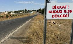 Hatay'da Kuduz Alarmı! 4 Mahalle Karantinaya Alındı!