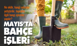 Mayıs Ayında Bahçe İşleri