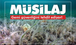 Müsilaj Gemi Güvenliğini Tehdit Ediyor: Makine Aksamına ve Seyir Güvenliğine Zarar Veriyor