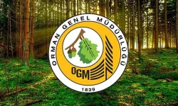 OGM 3.477 Personel Alımı Sonuçları Ne Zaman Açıklanacak? Başvuru Sorgulama Ekranı ve Detaylar