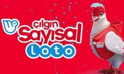 Sayısal Loto 10 Mayıs 2025 Sonuçları Açıklandı! İşte Kazanan Numaralar...