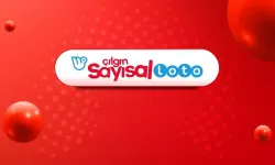 31 Mayıs Sayısal Loto Sonuçları Açıklandı! İşte Kazanan Numaralar: