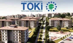 T.C. ÇEVRE, ŞEHİRCİLİK VE İKLİM DEĞİŞİKLİĞİ BAKANLIĞI Toplu Konut İdaresi Başkanlığı (TOKİ)  İHALE İLANI