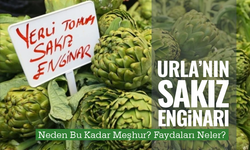 Urla’nın Sakız Enginarı Neden Bu Kadar Meşhur? Faydaları Neler?