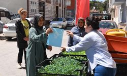 Ahmet Akın’dan Çiftçiye Büyük Jest! 228 Bin Fide Ücretsiz Dağıtıldı
