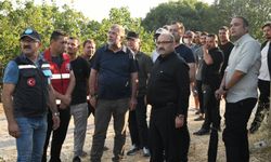 Vali Ustaoğlu Yangın Bölgesinde! Kepsut'taki Yangın Yerinde İnceleniyor!