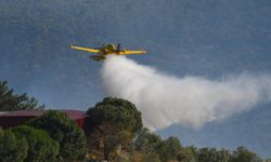 Balıkesir’de Orman Yangınlarıyla İlgili 4 Kişi Gözaltında