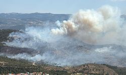 Havran Hallılar’daki Orman Yangını Kontrol Altına Alındı