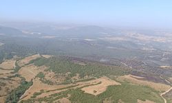 Kepsut’ta İki Ayrı Orman Yangını Kontrol Altına Alındı: 5 Kişi Gözaltında