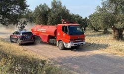 Ayvalık Mutlu Köy'de Zeytinlik Yangını!