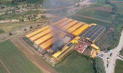 Binlerce Tavuk Telef Oldu! Tavuk Üretim Çiftliğinde Yangın!