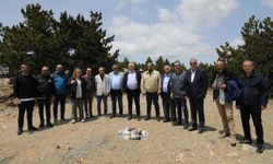 Sizi gidi görüntü çevrecileri siziii!..